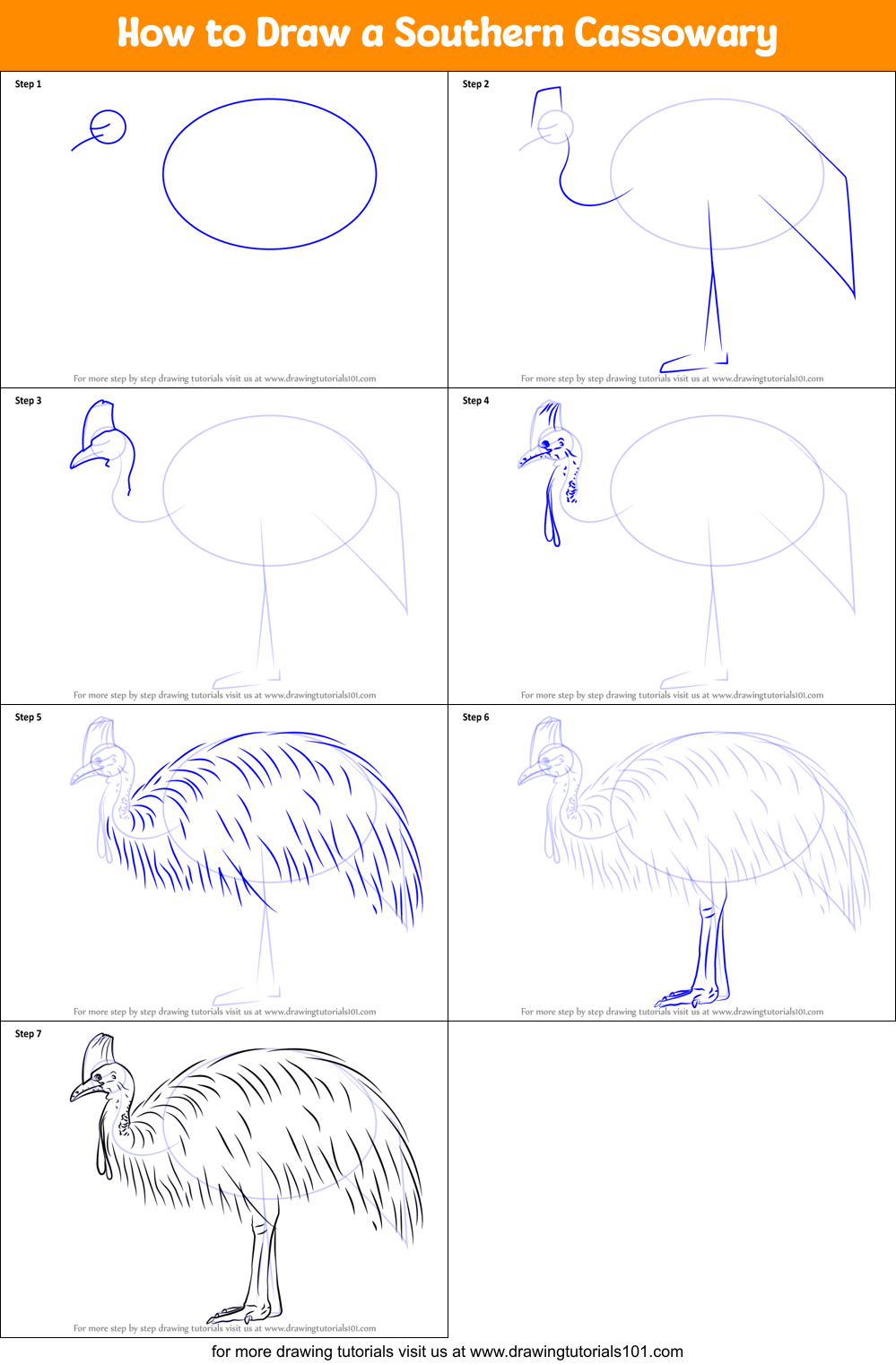 How to Draw a Southern Cassowary Printable Step by Step