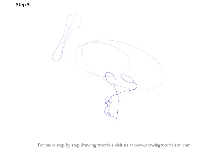 Download Step by Step How to Draw a Spoonbill : DrawingTutorials101.com