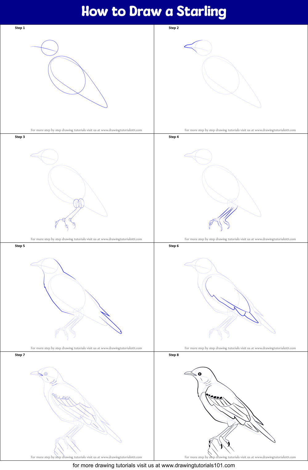 How to Draw a Starling Printable Step by Step