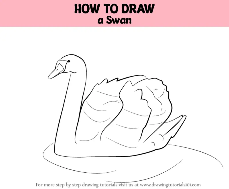 How to draw scenery of Swan Swimming in Water, Sunset Scenery Drawing -  YouTube