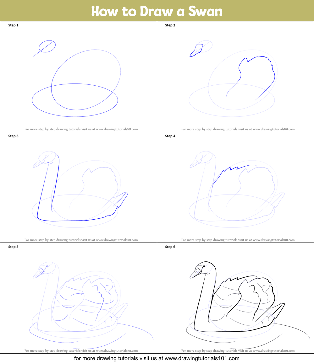 How to Draw a Swan Printable Step by Step