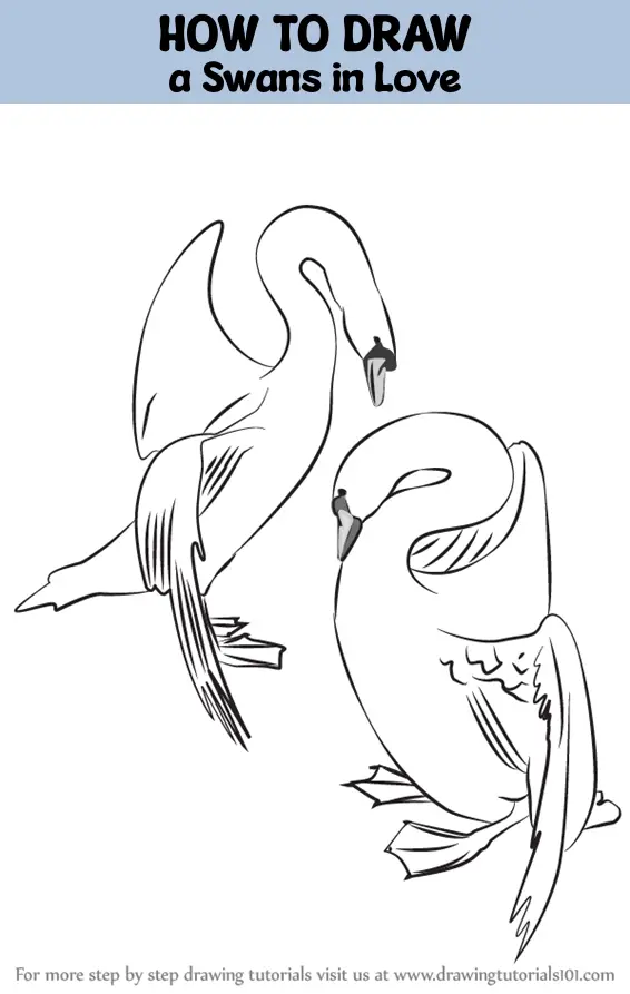 White Swan - Dreams Take Flight-tinted Drawing by Kelli Swan - Fine Art  America