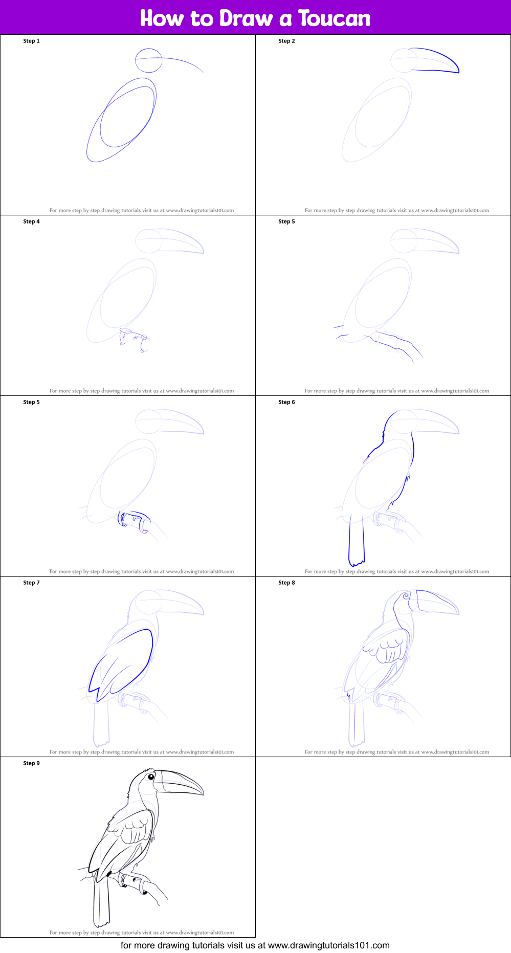 How to Draw a Toucan Printable Step by Step