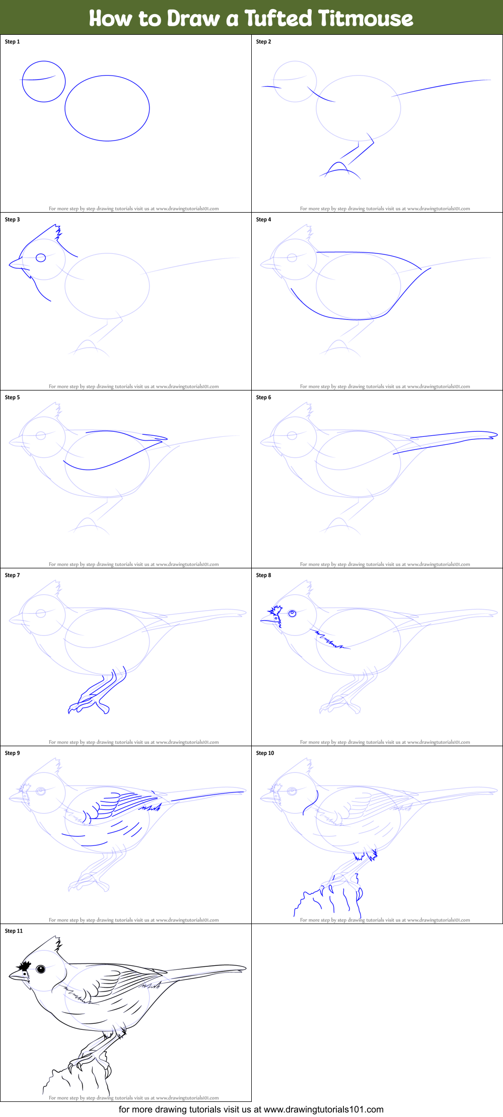 How to Draw a Tufted Titmouse printable step by step drawing sheet