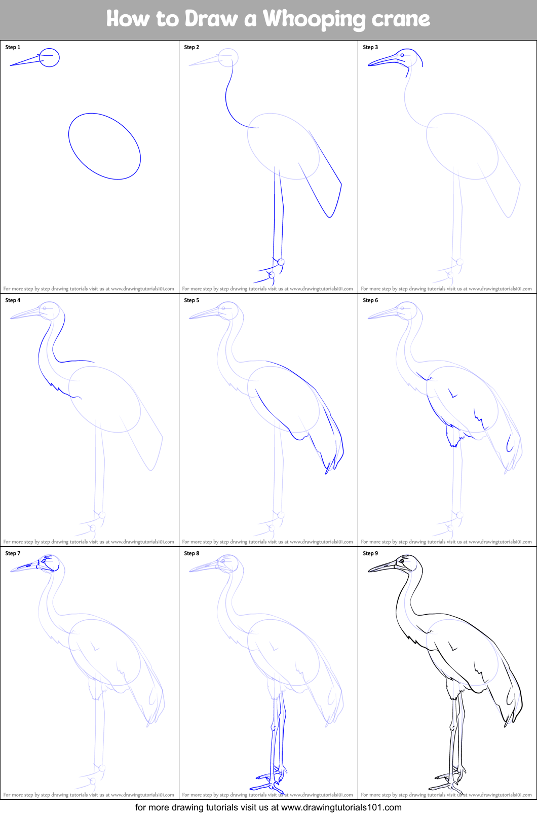 How to Draw a Whooping crane Printable Step by Step