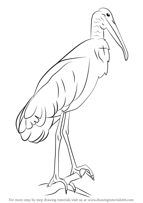 Stork Delivering Baby Drawing by CSA Images - Pixels