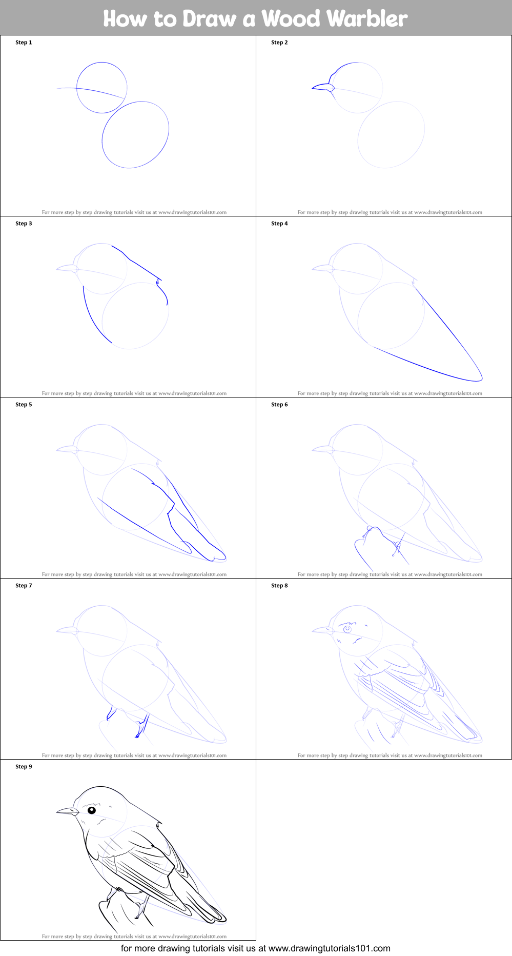 How to Draw a Wood Warbler Printable Step by Step