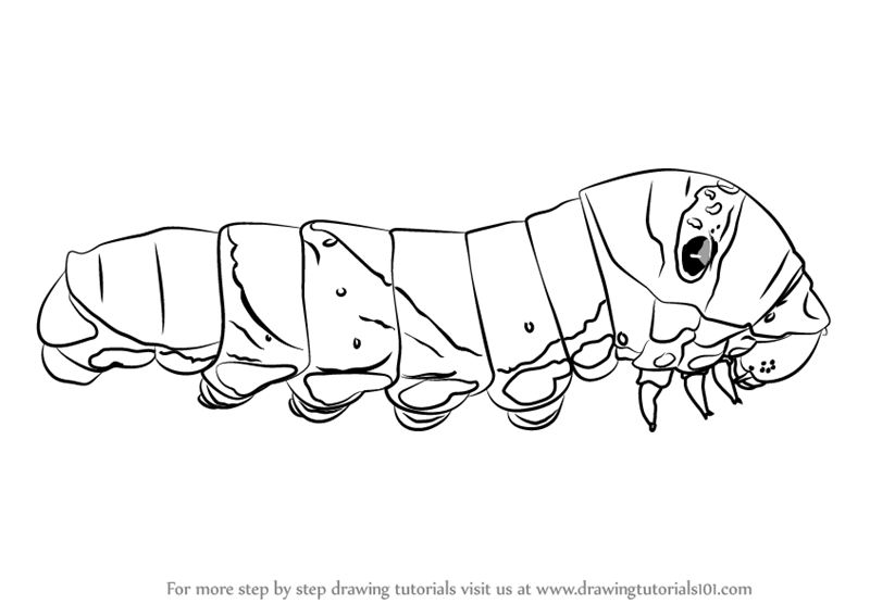 Official How to Draw Larva 2  Special Videos by LARVA  YouTube