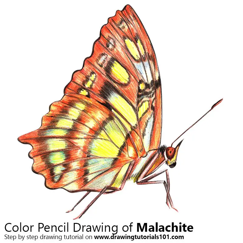 Malachite Color Pencil Drawing