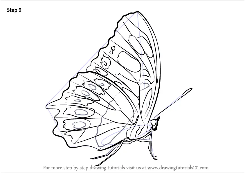 malachite coloring pages - photo #30