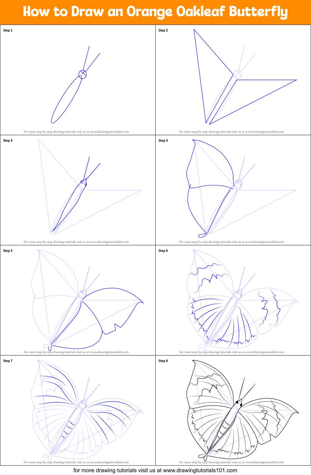 How to Draw an Orange Oakleaf Butterfly Printable Step by Step