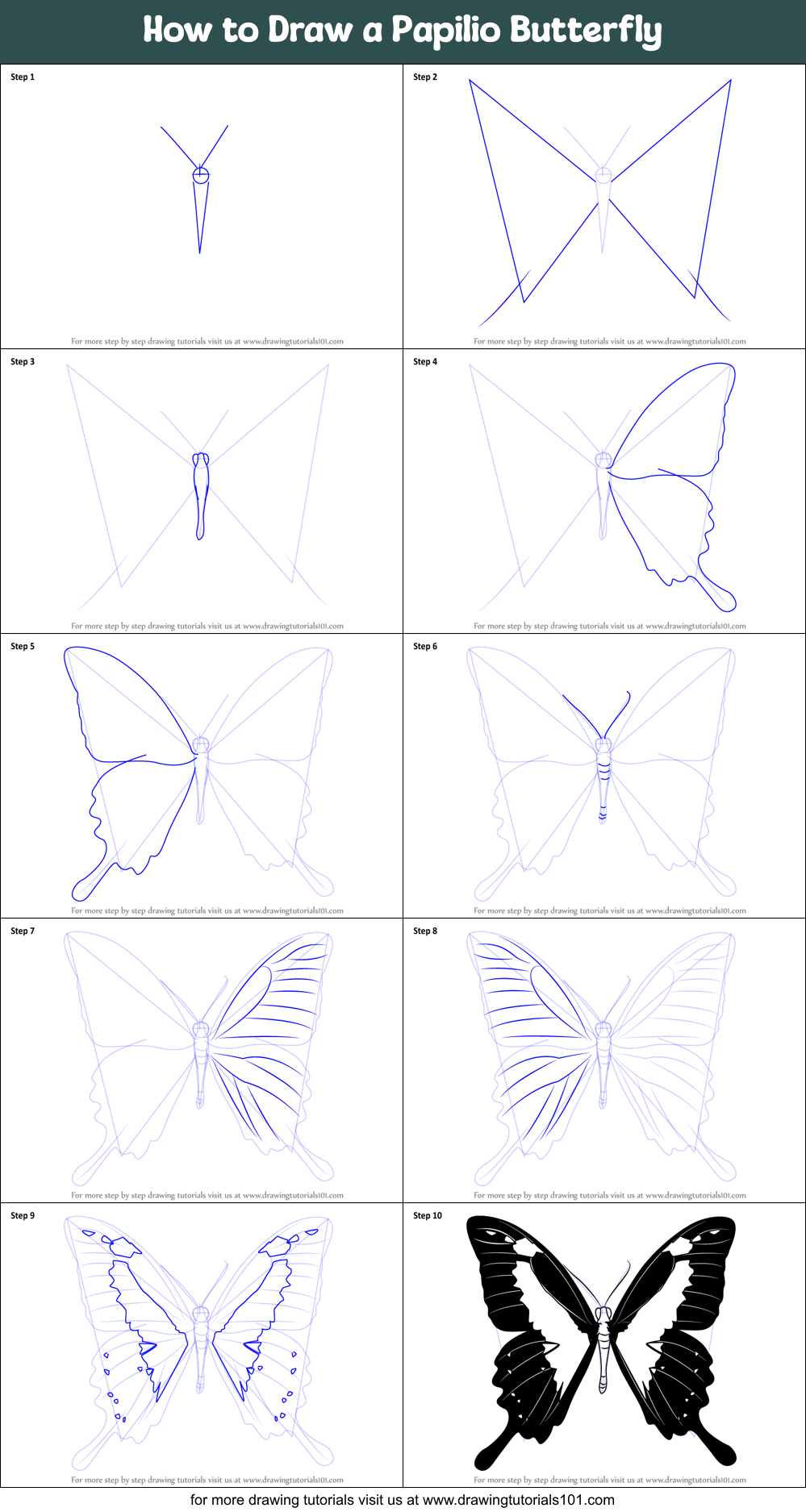 How to Draw a Papilio Butterfly printable step by step drawing sheet 