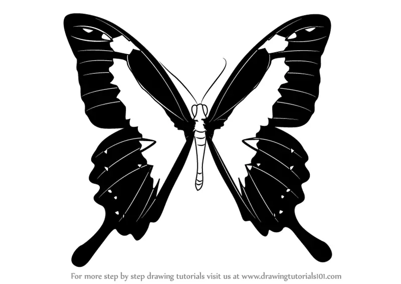 Butterfly Outline | Skip To My Lou