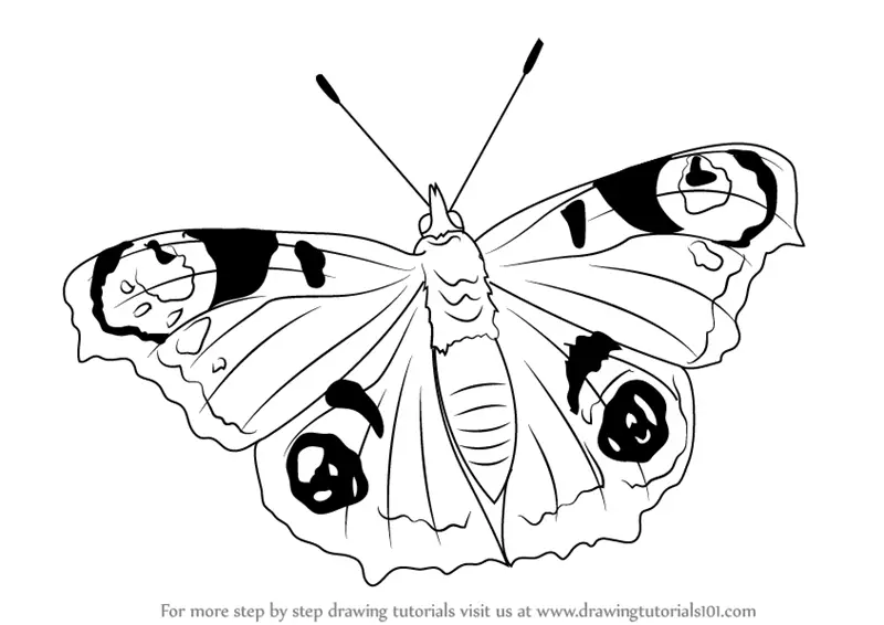 butterfly tattoo line art - Clip Art Library