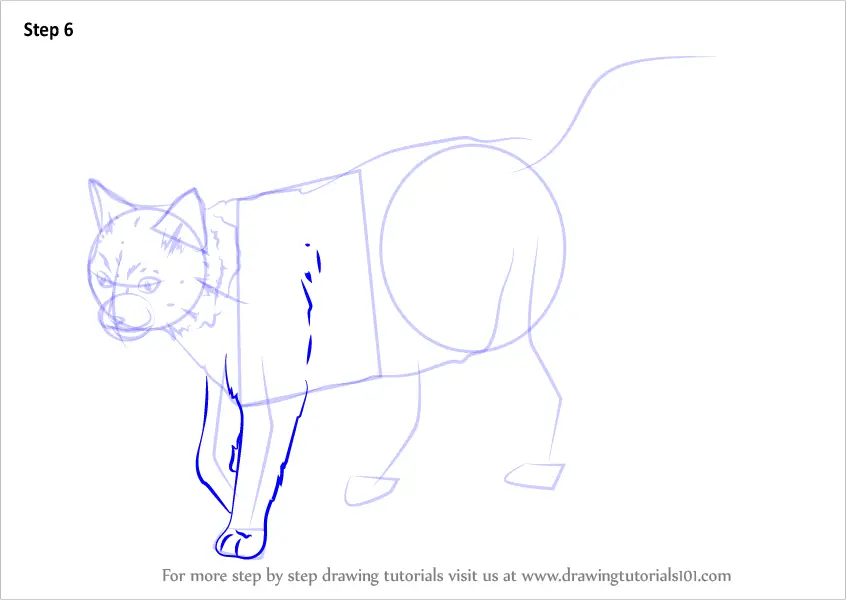 Learn How to Draw a Black Cat (Cats) Step by Step : Drawing Tutorials