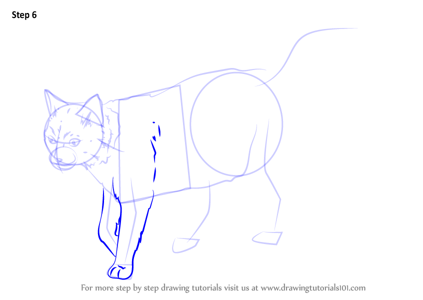 Learn How to Draw a Black Cat (Cats) Step by Step : Drawing Tutorials