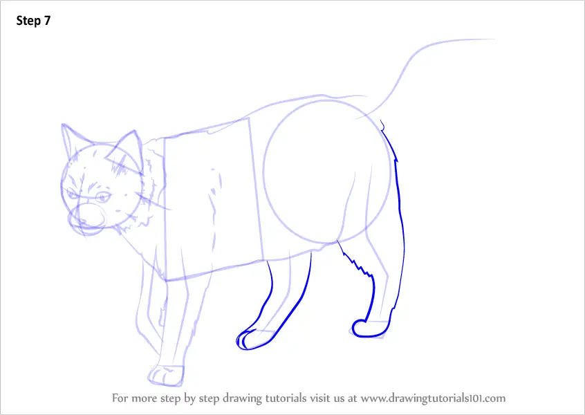Learn How to Draw a Black Cat (Cats) Step by Step : Drawing Tutorials