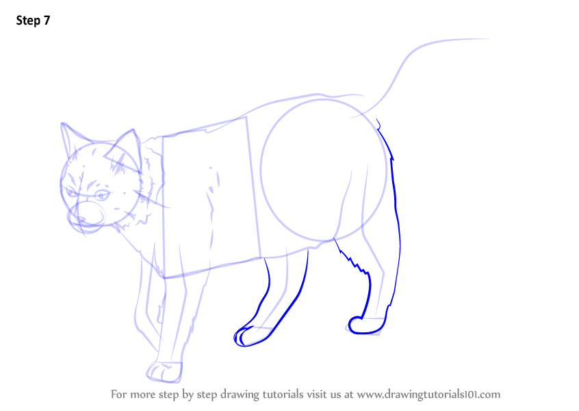 Learn How to Draw a Black Cat (Cats) Step by Step : Drawing Tutorials