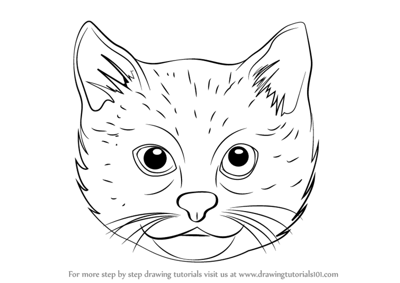 Premium Vector | Fluffy cat sitting hand drawn sketch pets vector  illustration