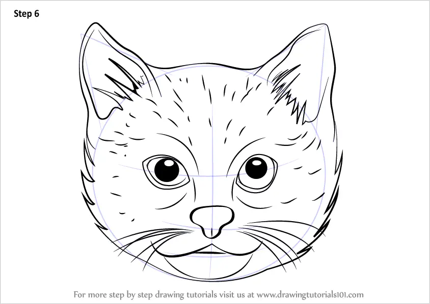 Featured image of post Cat Face Drawing Easy Step By Step : I&#039;ve included easy step by step instructions for how to draw this kitten, and i&#039;ve also offered some suggestions along the way as to how you can customize the eyebrows finish off our eyes and face.