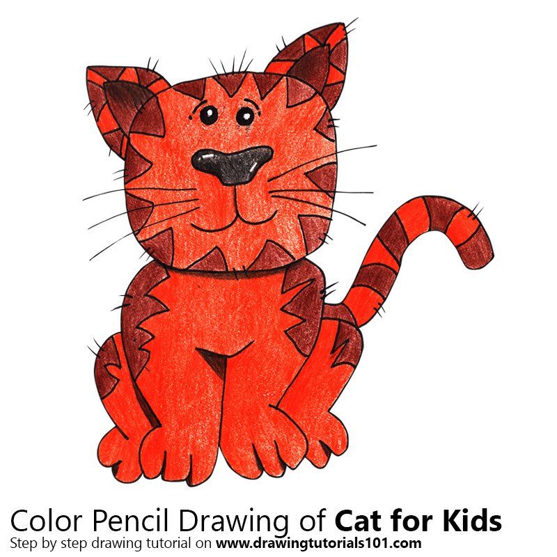 How To Draw A Cat With Colored Pencils Beginner Tutorial | Drawing A Cat  Step By Step - YouTube