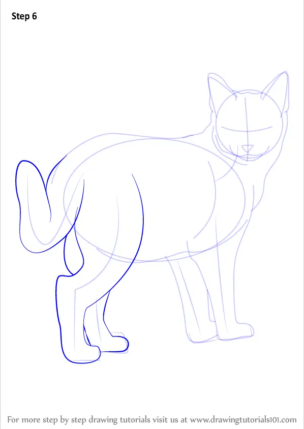 Learn How to Draw a Kitten (Cats) Step by Step : Drawing Tutorials