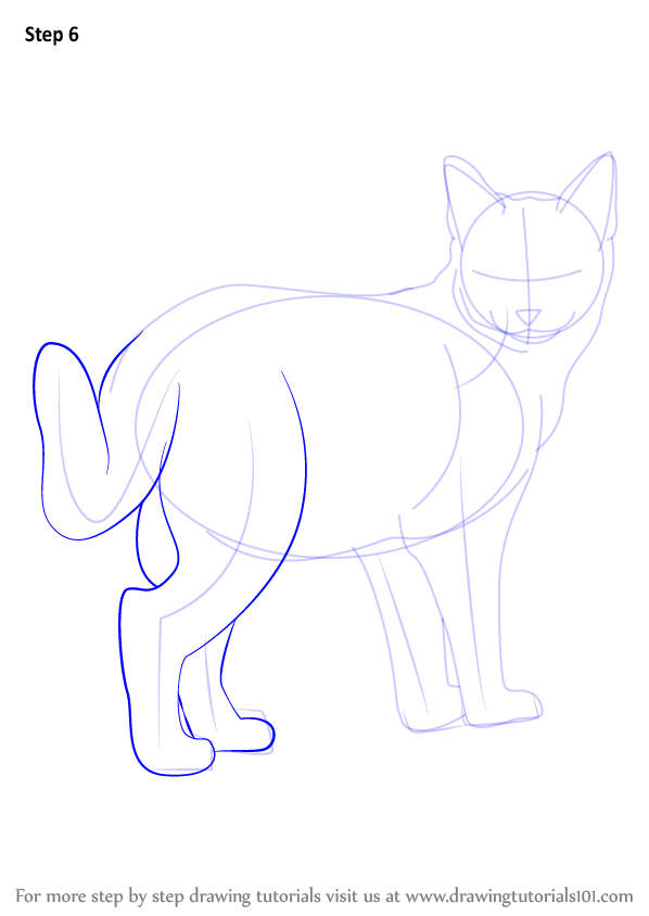 Learn How to Draw a Kitten (Cats) Step by Step : Drawing Tutorials