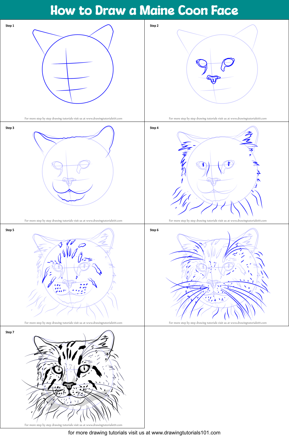 How to Draw a Maine Coon Face (Cats) Step by Step | DrawingTutorials101.com