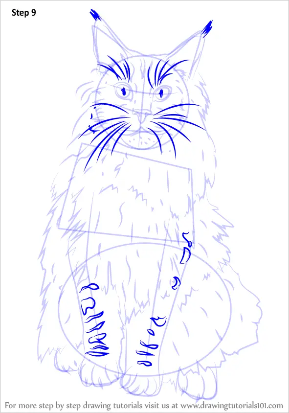 maine coon coloring pages - photo #27