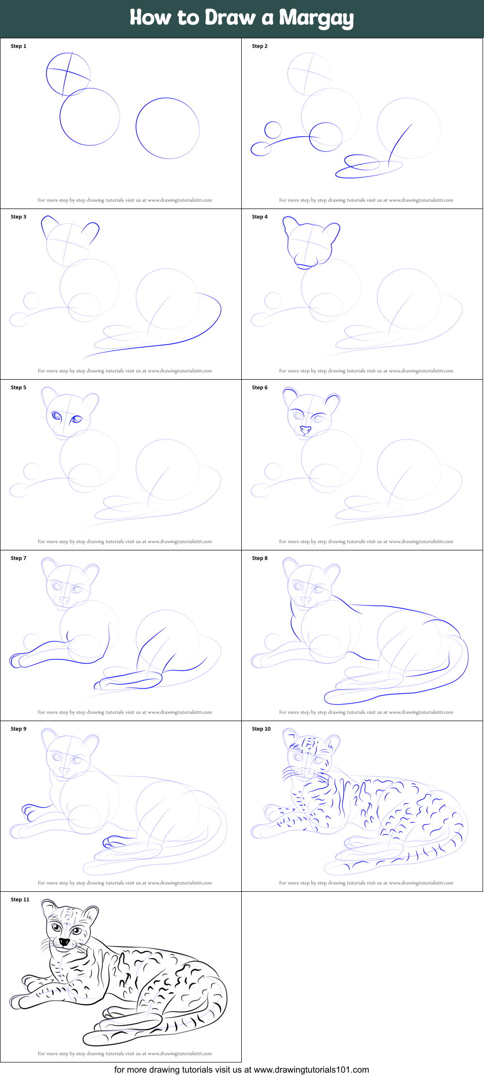 Download How to Draw a Margay printable step by step drawing sheet : DrawingTutorials101.com