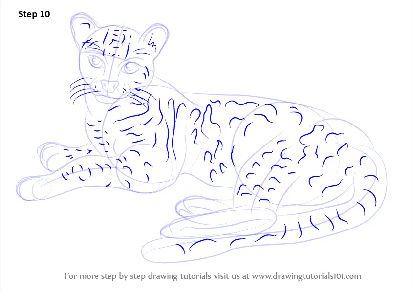 Download Step by Step How to Draw a Margay : DrawingTutorials101.com