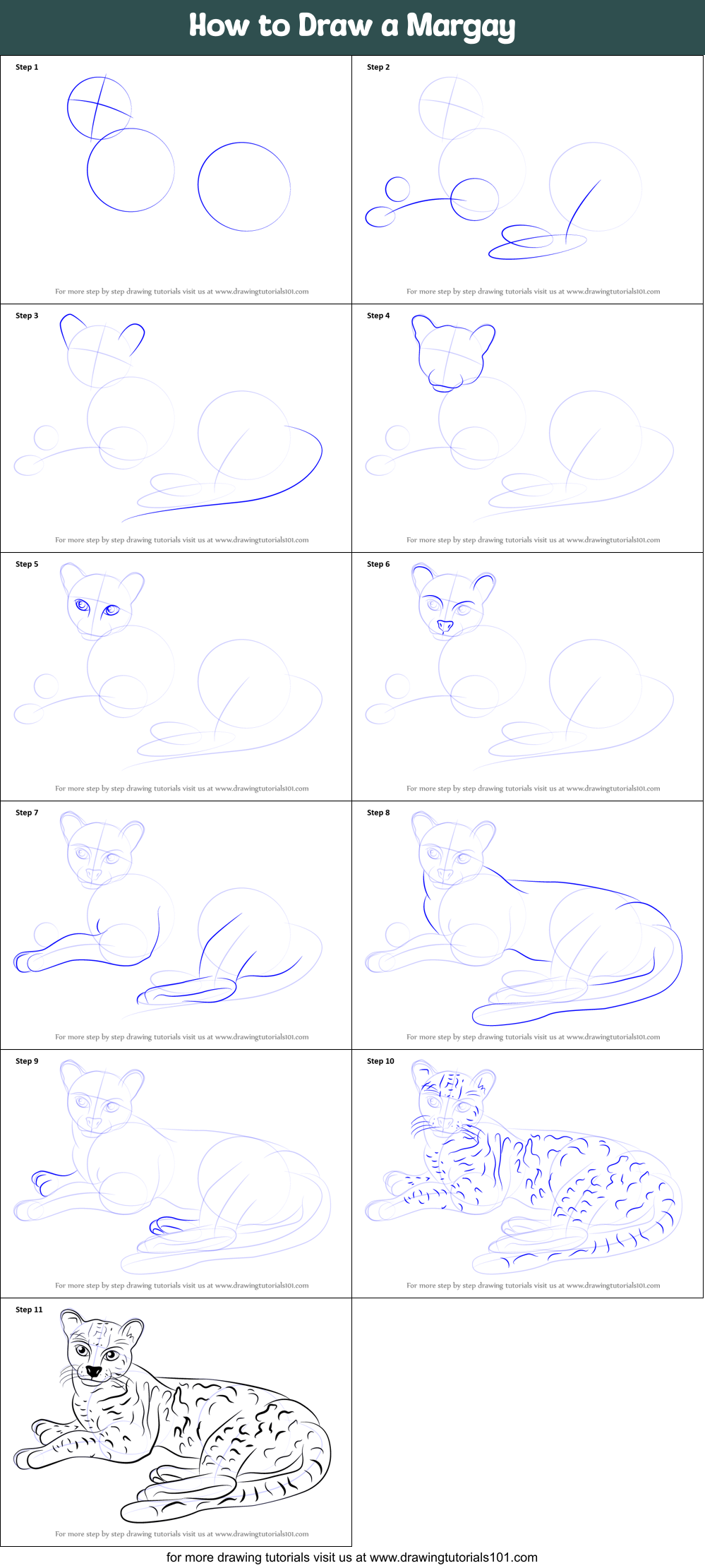 How to Draw a Margay Printable Step by Step