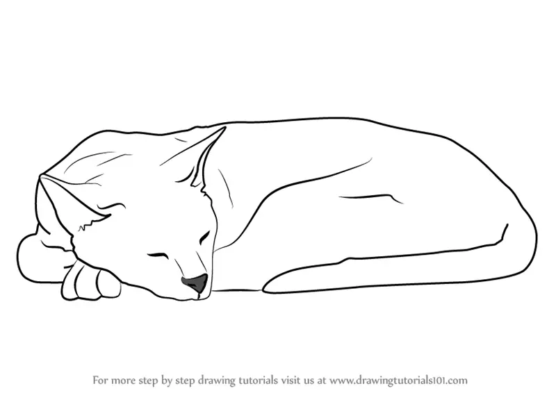 Premium Vector  Cute cartoon cat lying on his back vector illustration