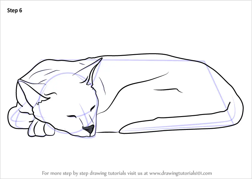 Learn How to Draw a Sleeping Cat (Cats) Step by Step ...