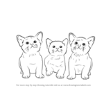How to Draw Three Kittens