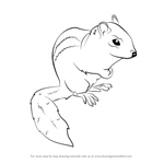 How to Draw an Eastern Chipmunk