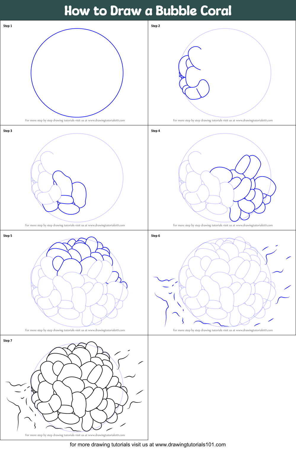 How to Draw a Bubble Coral Printable Step by Step