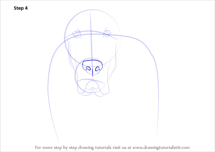 Learn How to Draw Bloodhound Face Dogs Step by Step 