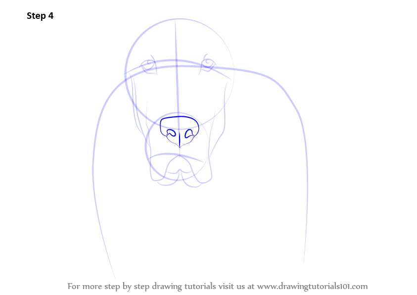 Learn How to Draw Bloodhound Face Dogs Step by Step 