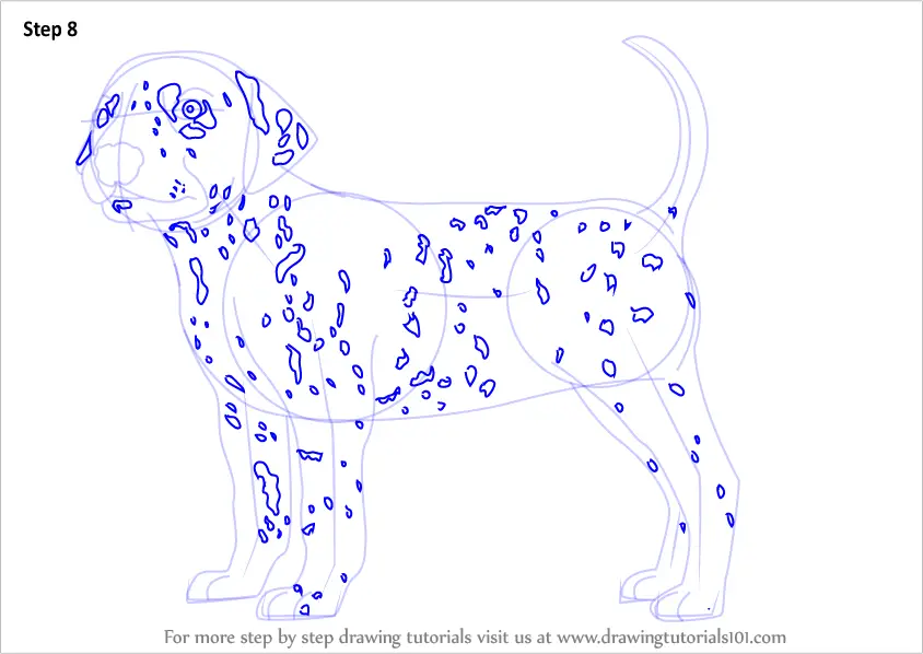 Learn How to Draw a Dalmatian Dog (Dogs) Step by Step : Drawing Tutorials
