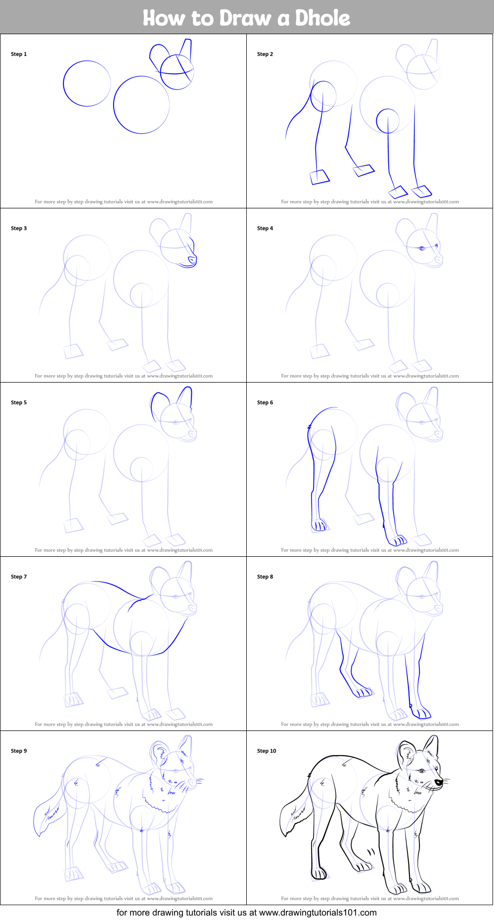 How to Draw a Dhole Printable Step by Step
