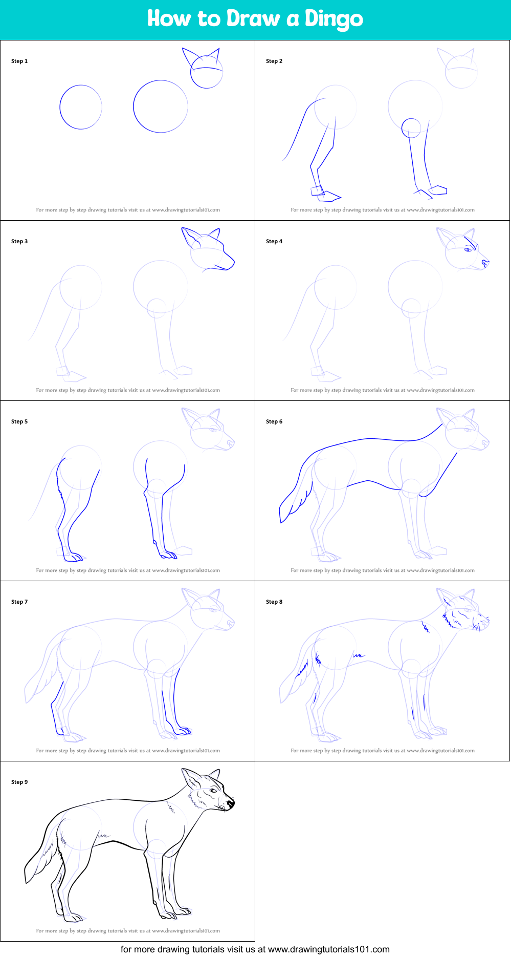 How to Draw a Dingo printable step by step drawing sheet