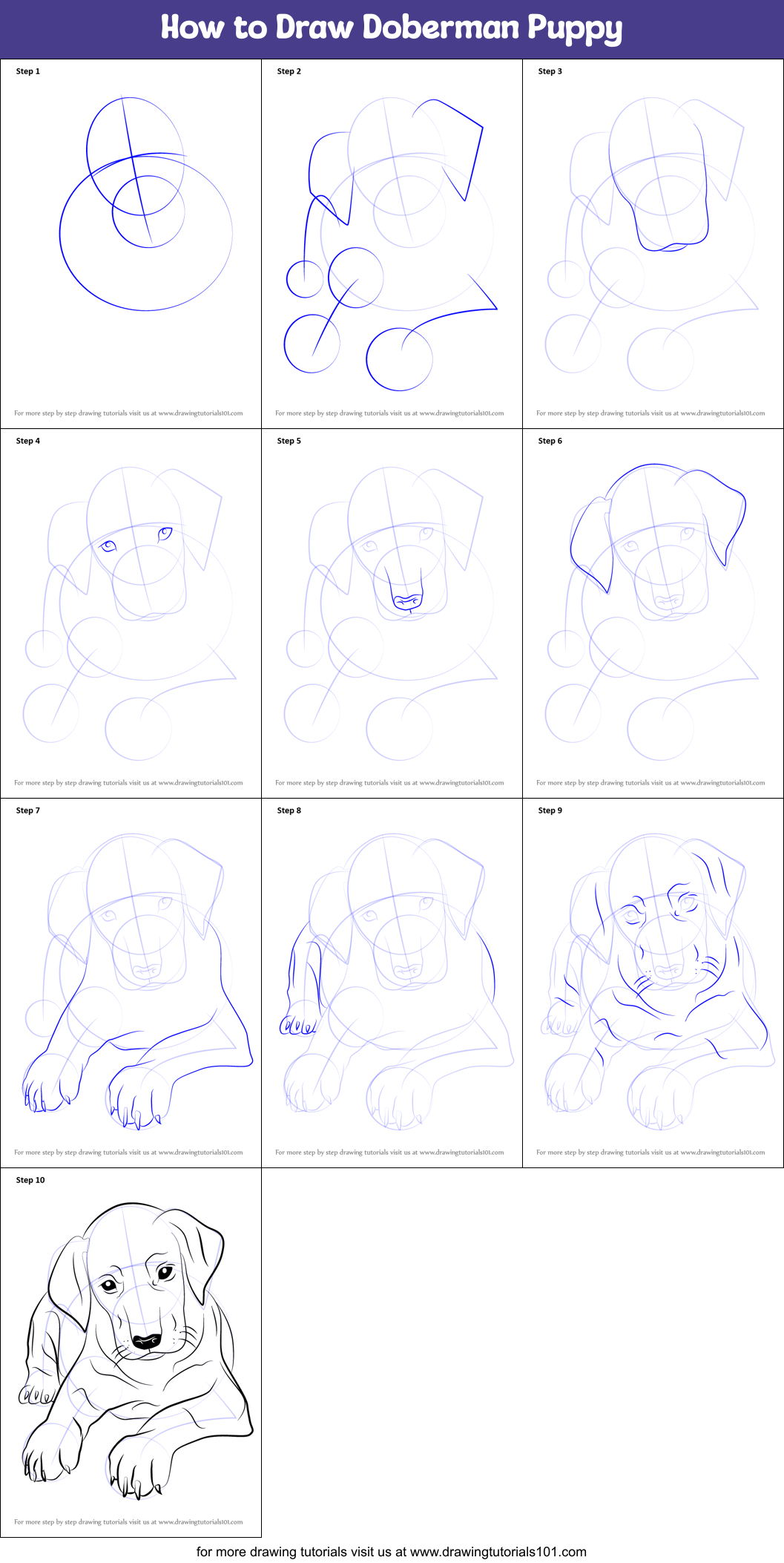 How to Draw Doberman Puppy printable step by step drawing sheet 