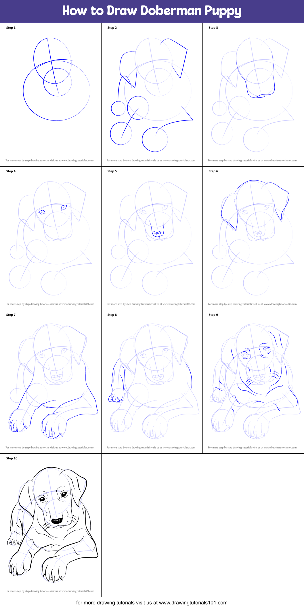 How to Draw Doberman Puppy Printable Step by Step