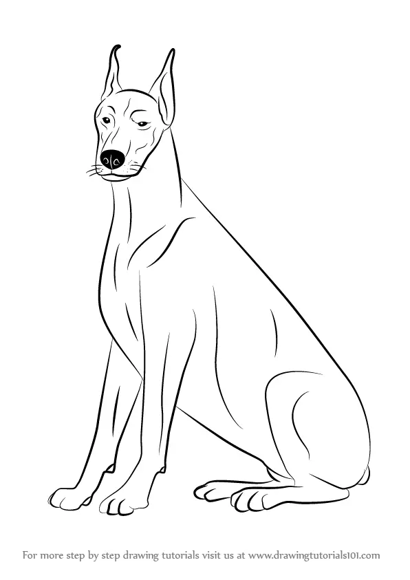 Learn How to Draw a Doberman (Dogs) Step by Step : Drawing Tutorials