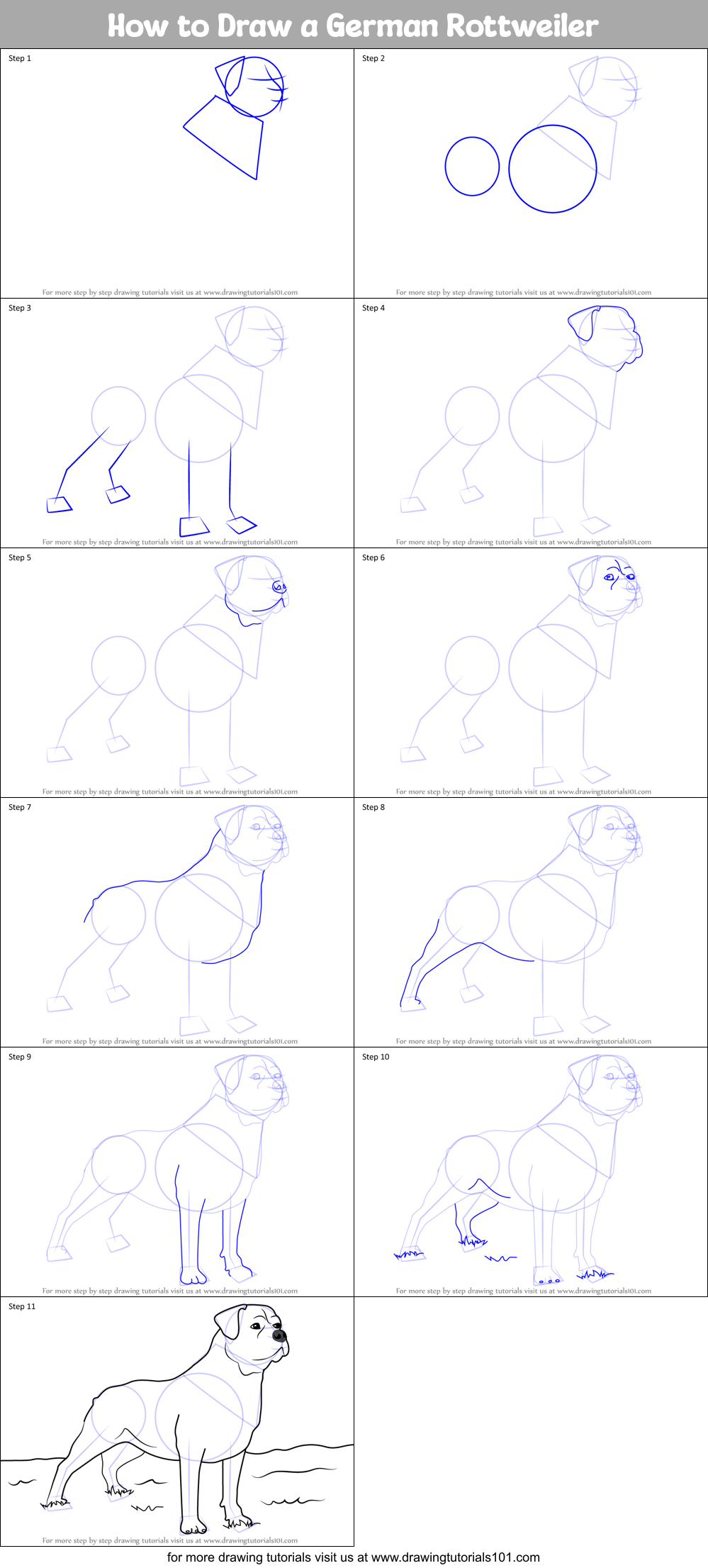 How to Draw a German Rottweiler printable step by step drawing sheet
