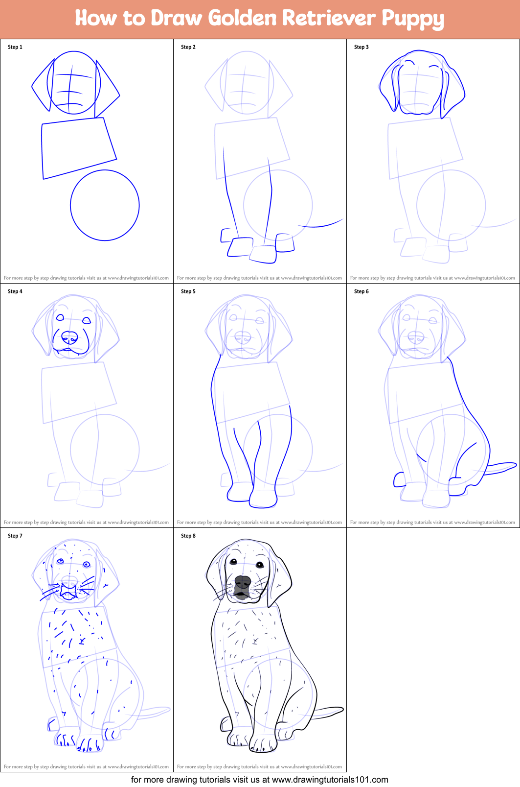 How to Draw Golden Retriever Puppy (Dogs) Step by Step ...