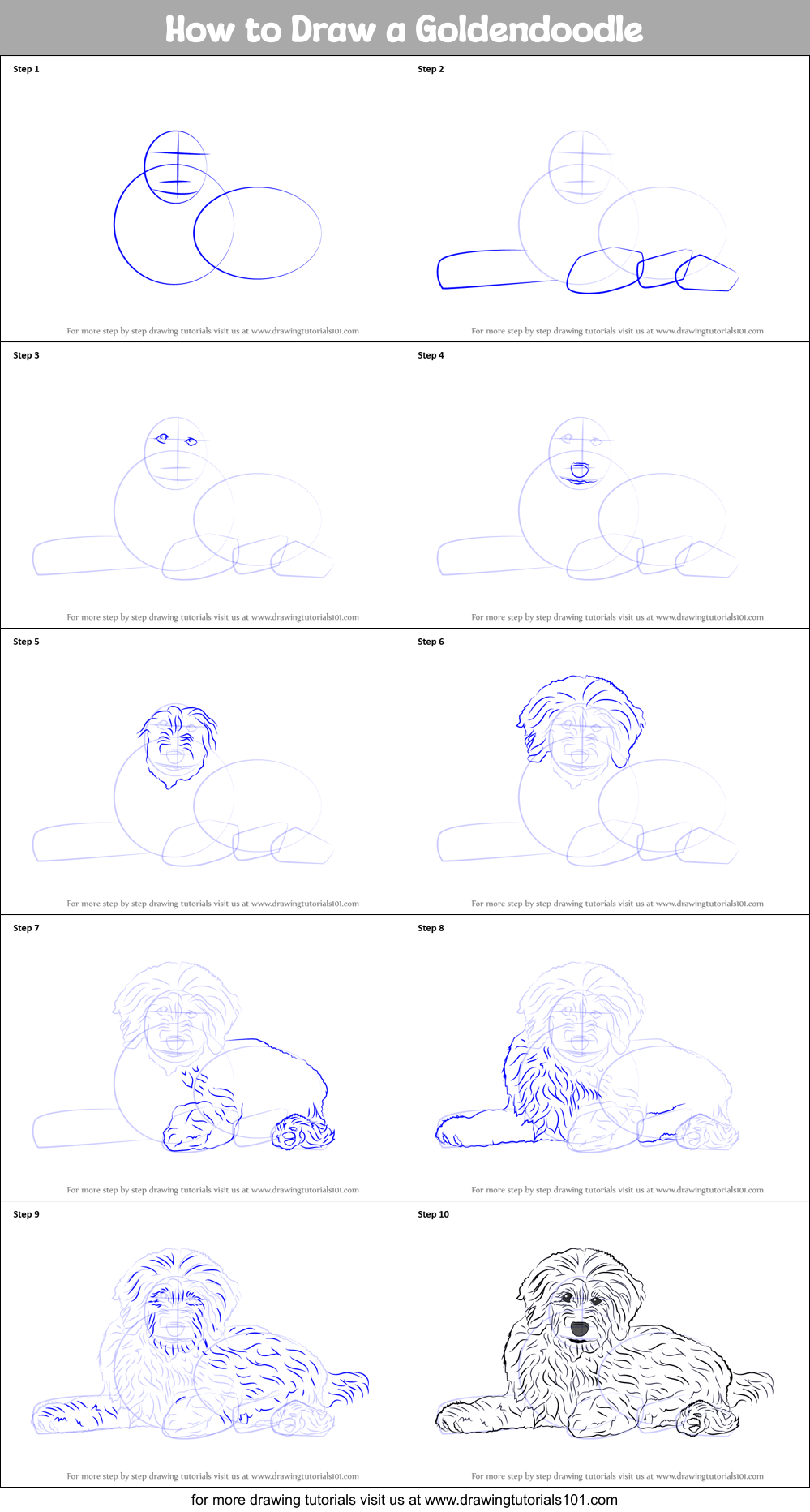 How to Draw a Goldendoodle Printable Step by Step