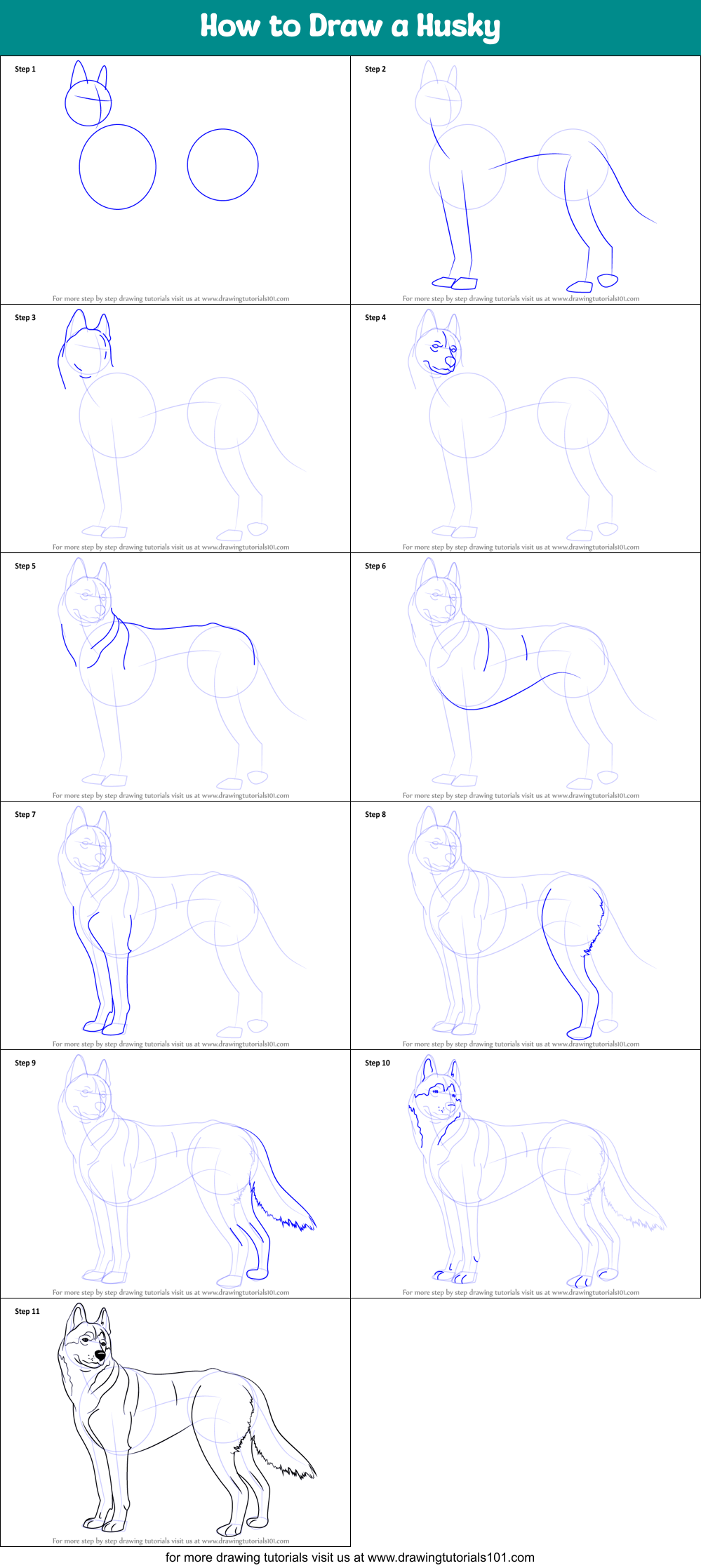 How to Draw a Husky printable step by step drawing sheet
