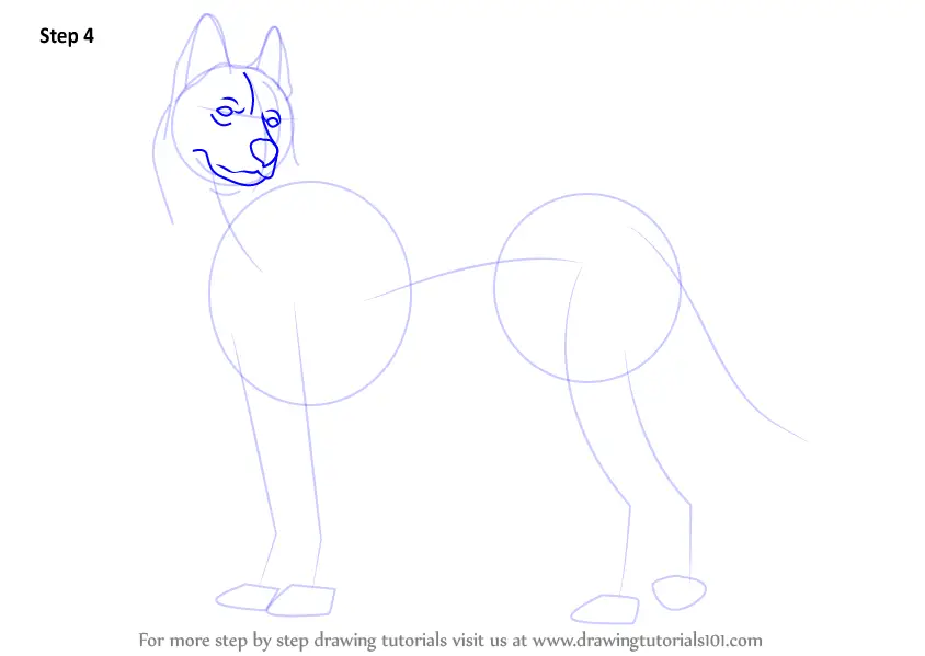 Learn How to Draw a Husky (Dogs) Step by Step : Drawing Tutorials